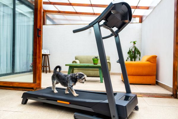 Treadmill Installation in Terre Haute