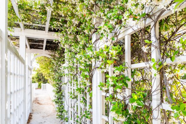 Trellis Repair in Terre Haute
