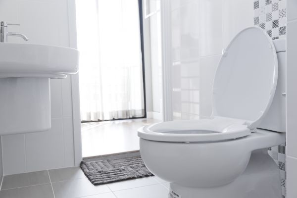 Toilet Seat Installation in Terre Haute