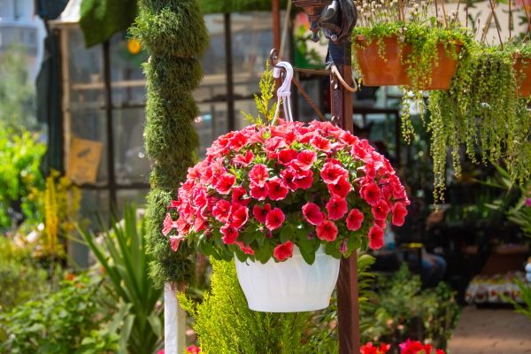 Hanging Planter Installation in Terre Haute