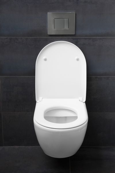 Toilet Lid Installation in Terre Haute