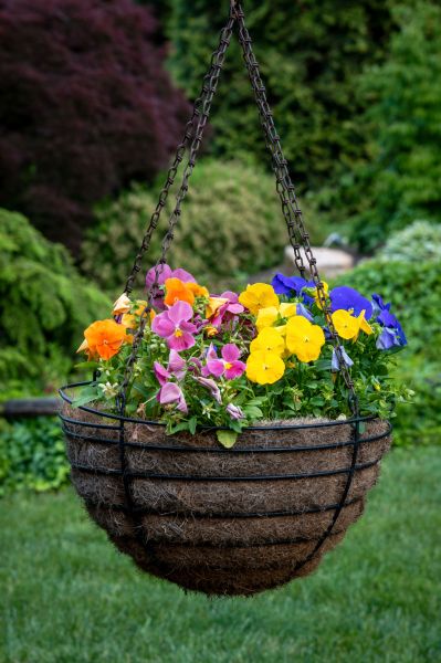 Hanging Basket Installation in Terre Haute