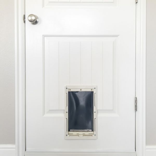 Pet Door Repair in Terre Haute
