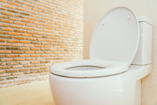Toilet Seat Repair in Terre Haute